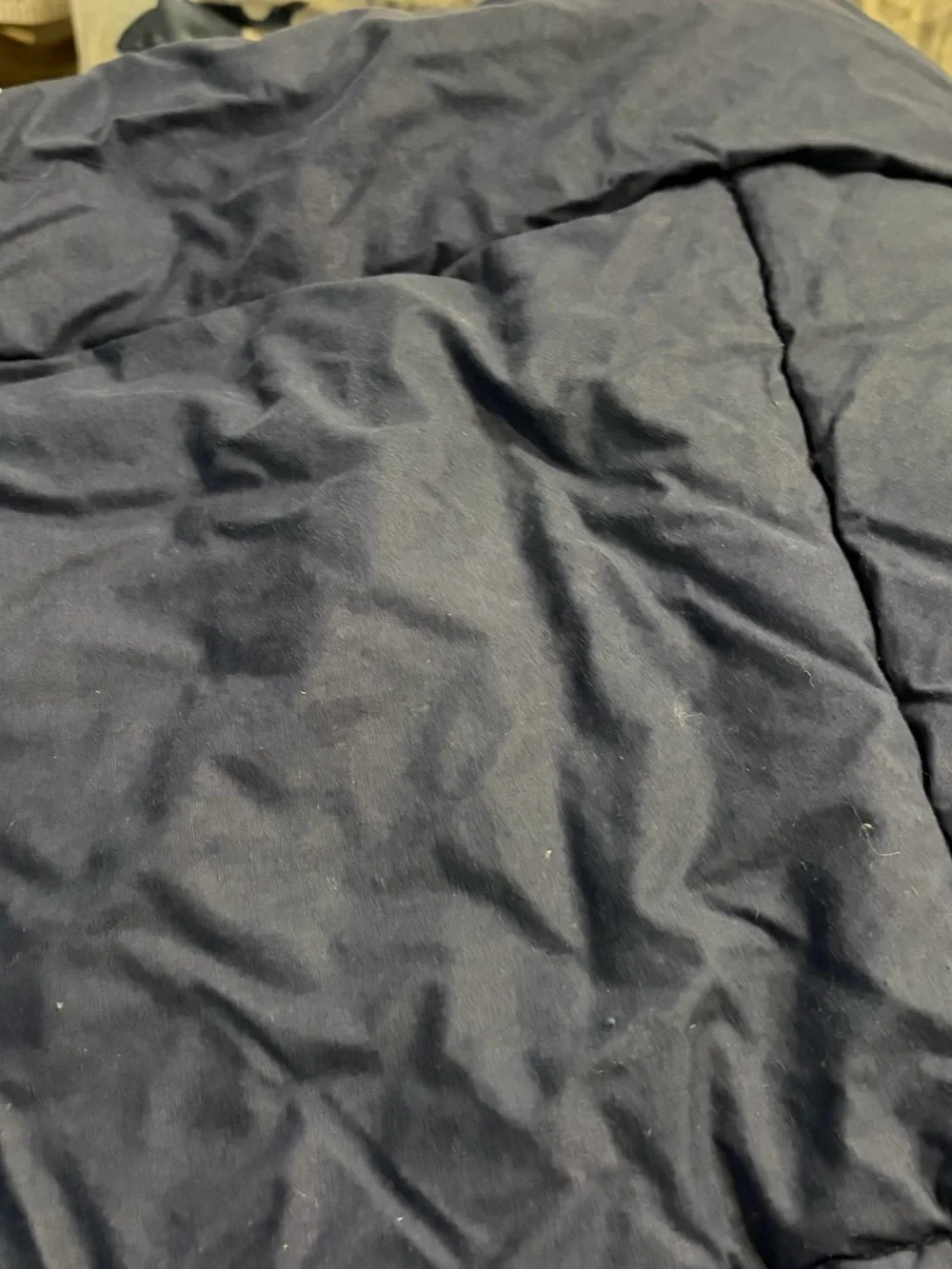 Pottery barn kids full sheet set and comforter in preppy shark print